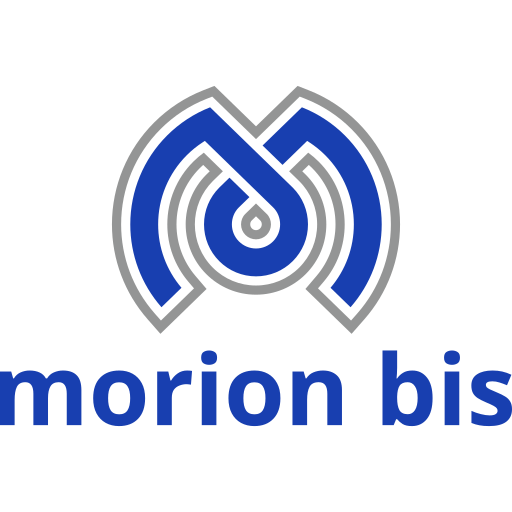 Morion Bis logo napis 512